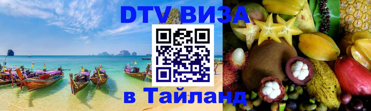 Оформление DTV визы под ключ: стоимость и тарифы, только загранпаспорт - Новочеркасск  03.10.2025 
